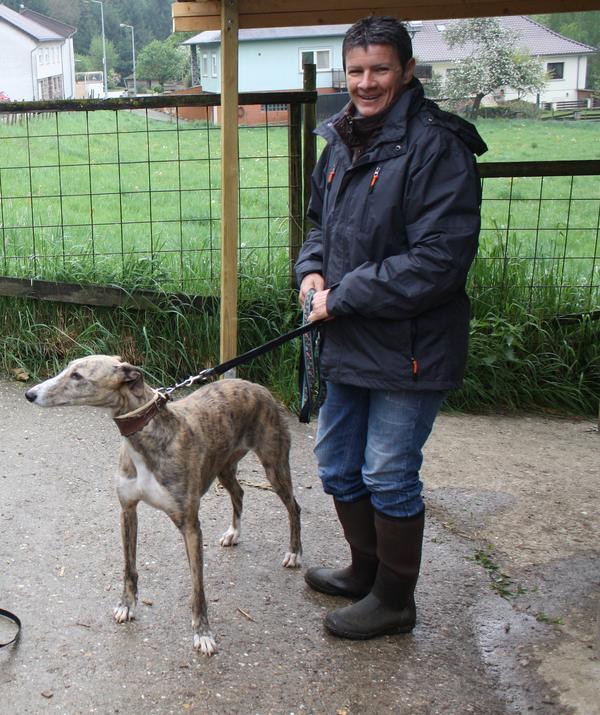 Galga SITA aus Alicante sucht dringend ... - Seite 2 6951735byy