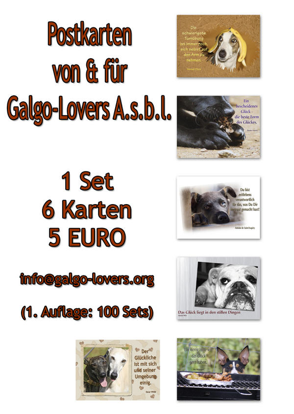 1. Auflage: POSTKARTEN von & für Galgo-Lovers A.s.b.l. 7185244ynr