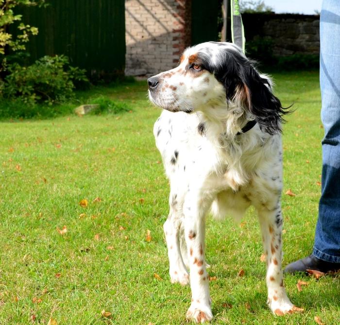 Jacko - lange hat es gedauert 8242267kxw