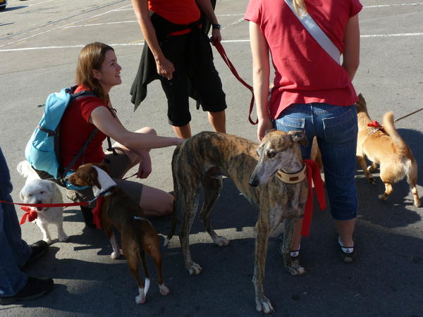 3. Marsch für den Tierschutz am 02.10.2011 in Luxemburg-Stadt! 8374341neu