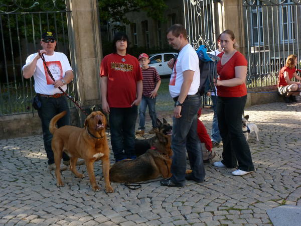 3. Marsch für den Tierschutz am 02.10.2011 in Luxemburg-Stadt! - Seite 2 8374757phm