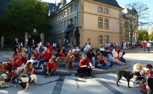 3. Marsch für den Tierschutz am 02.10.2011 in Luxemburg-Stadt! - Seite 2 8377467xlx