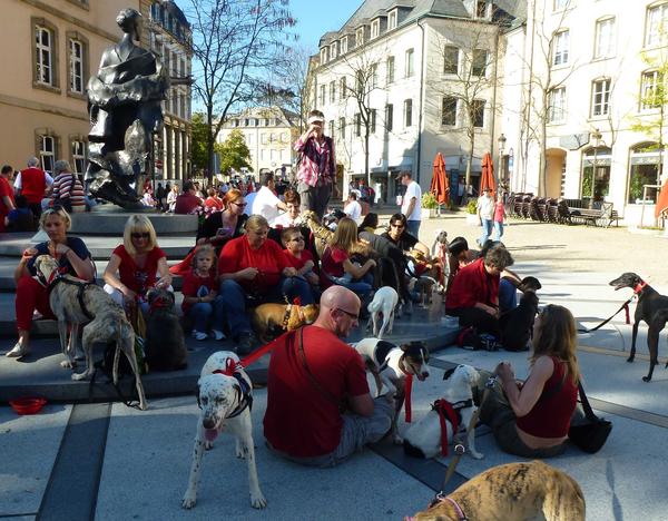 3. Marsch für den Tierschutz am 02.10.2011 in Luxemburg-Stadt! - Seite 2 8377476frs