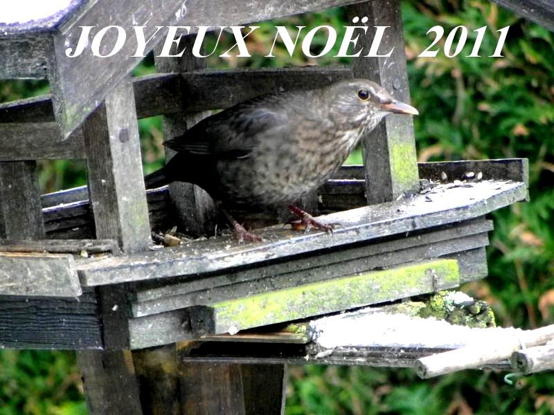 NOËL 2011 9077475zwn