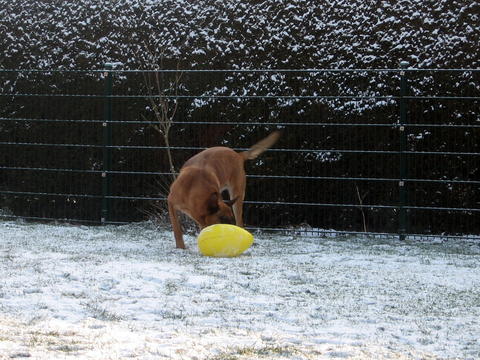 First snow in this winter 9435162ozy