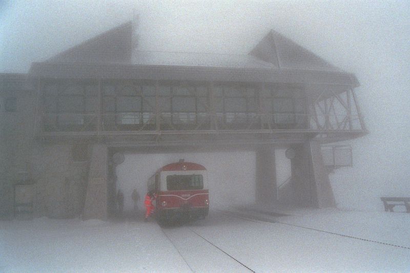 Der Schafberg ruft - Saisonstart 2012 (Teil II) 9926924reh