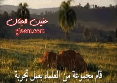 تعالوا شوفوا مملكة النمل سبحان الله صور - صفحة 2 13643064501