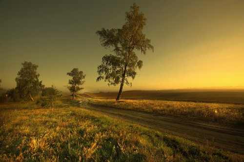 اروع صور الحياة البرية 13659722592