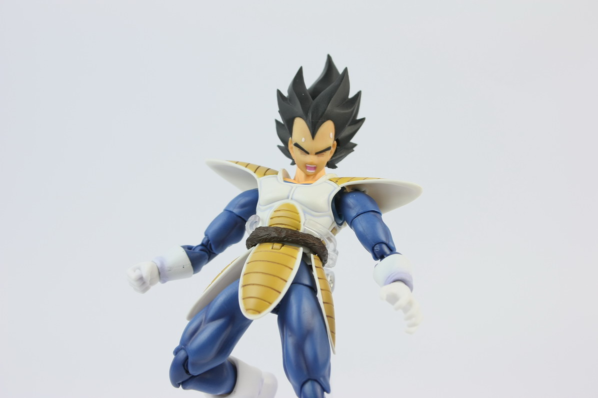 [Datong] Vegeta & Freezer SH  Pav36