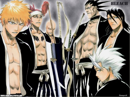 ตัวละครอื่นๆ2 16203_bleach1