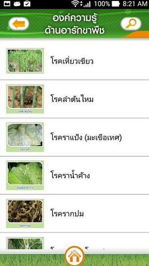 Protect Plants แอพพลิเคชั่นดีๆ ของกรมส่งเสริมการเกษตร เพื่อเกษตรกรไทย Cpic3