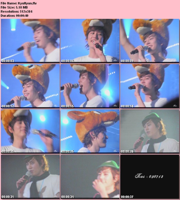 [090718] Fancam SUPERJUNIOR SUPERSHOWⅡ - KyuHyun [FLV , 5 MB] Ibw04