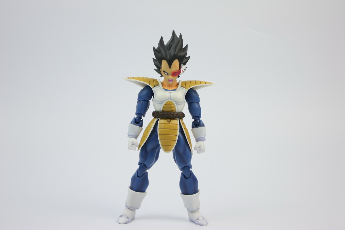 [Datong] Vegeta & Freezer SH  6kv19