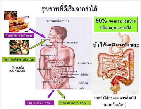 CeCe Fiber ซีซี่ไฟเบอร์ ดีท็อกซ์ ลำไส้ เป็นมากกว่าผลิตภัณฑ์เสริมอาหาร Cece-fiber-112