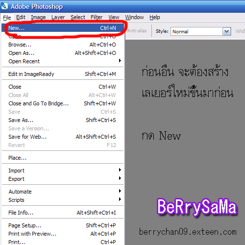 • Howto [Photoshop] ทำลายแพทเทินรูปภาพ 1lj01