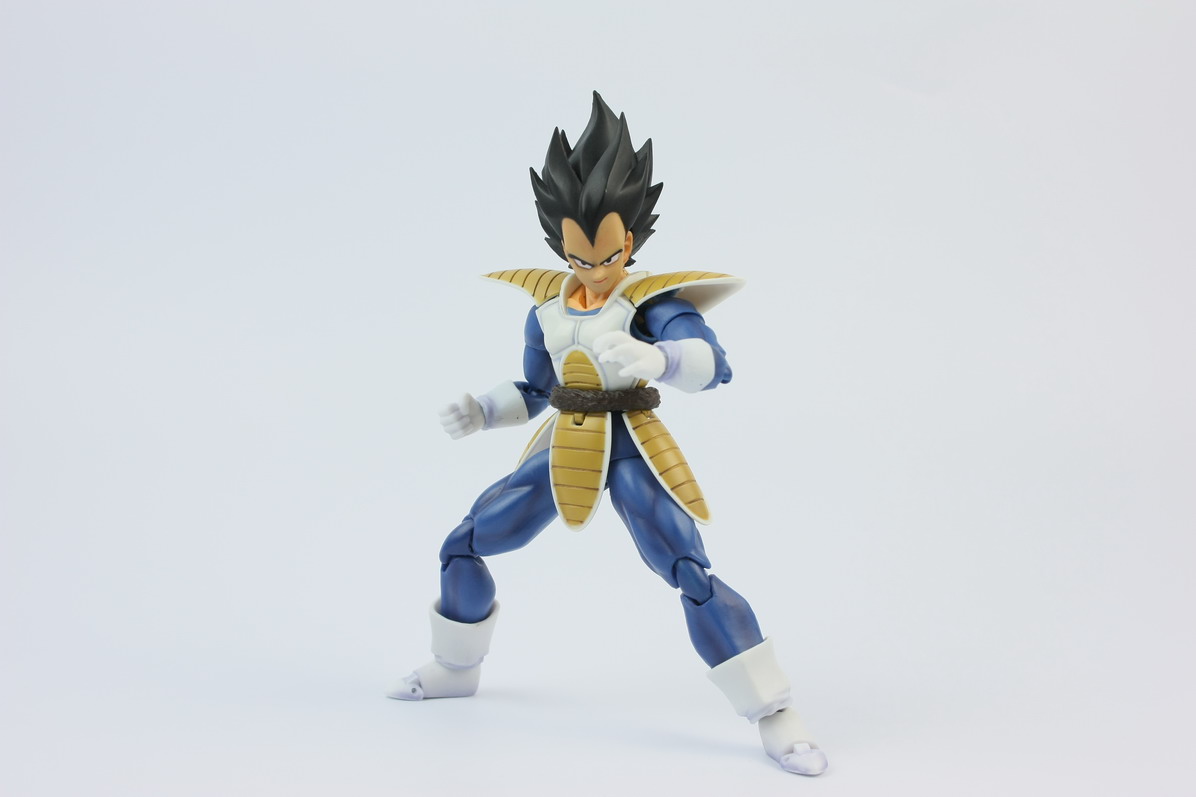 [Datong] Vegeta & Freezer SH  0fv39