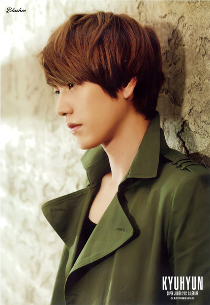 = KyuKyun=  111206superjunior2012japancalendar12