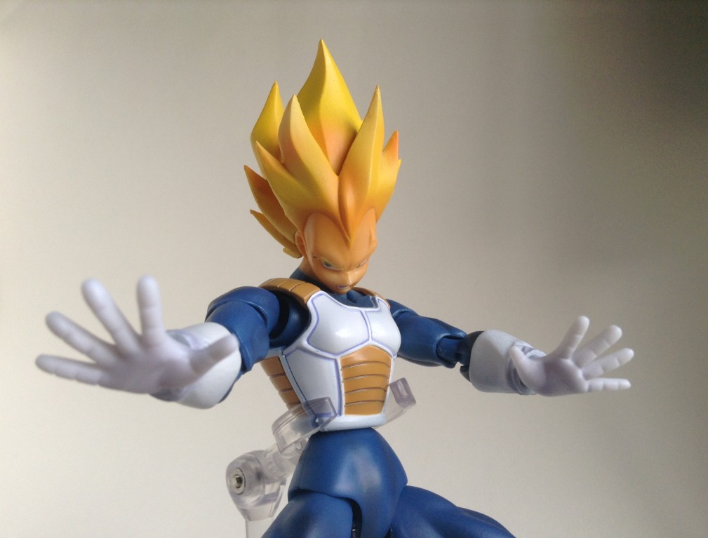 [Datong] Vegeta & Freezer SH  57b12