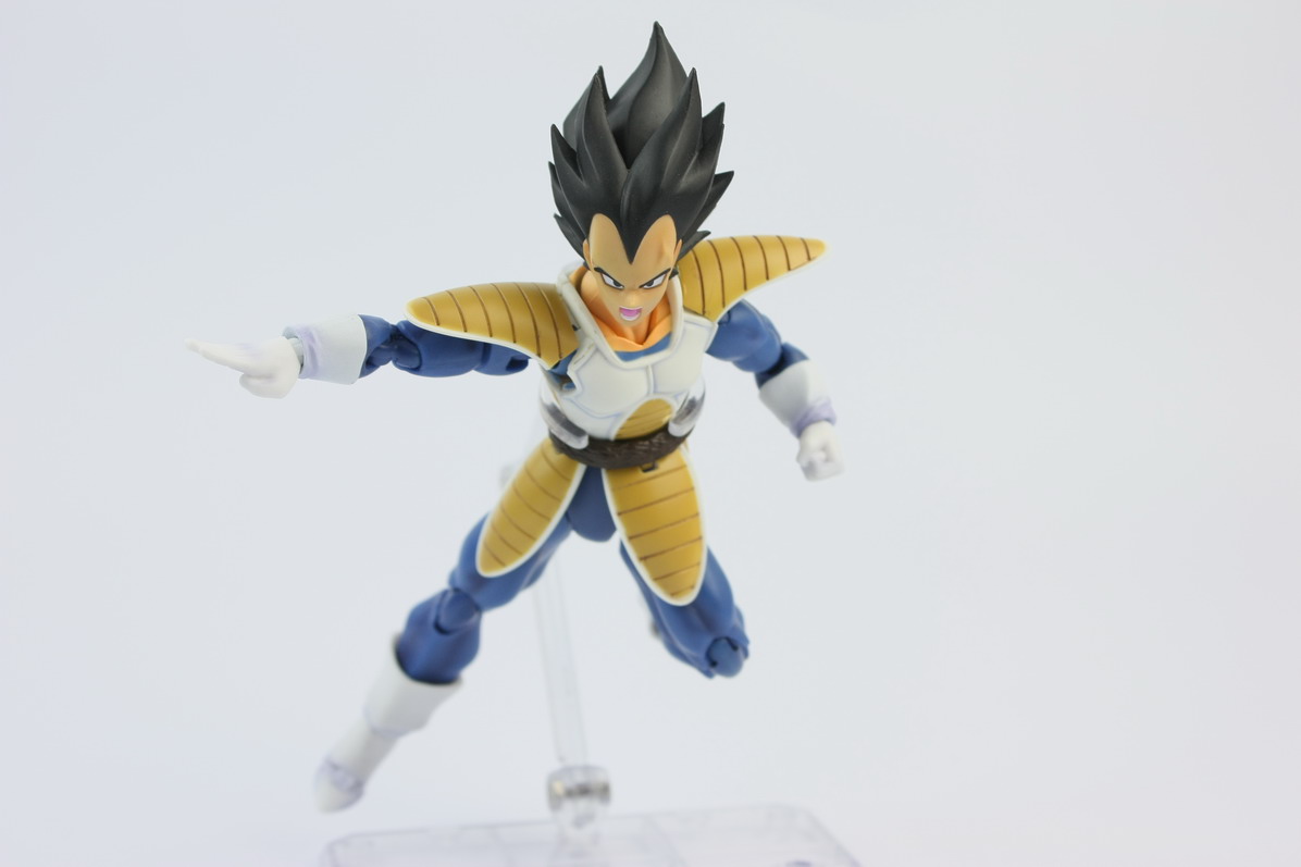 [Datong] Vegeta & Freezer SH  2uv34