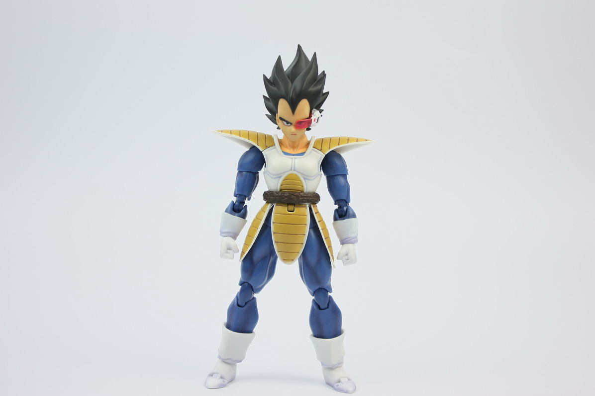 [Datong] Vegeta & Freezer SH  4qv18