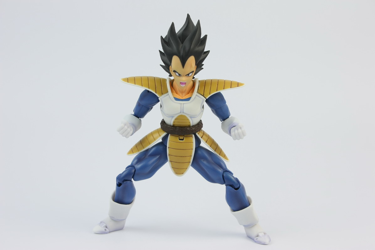 [Datong] Vegeta & Freezer SH  Ayv29