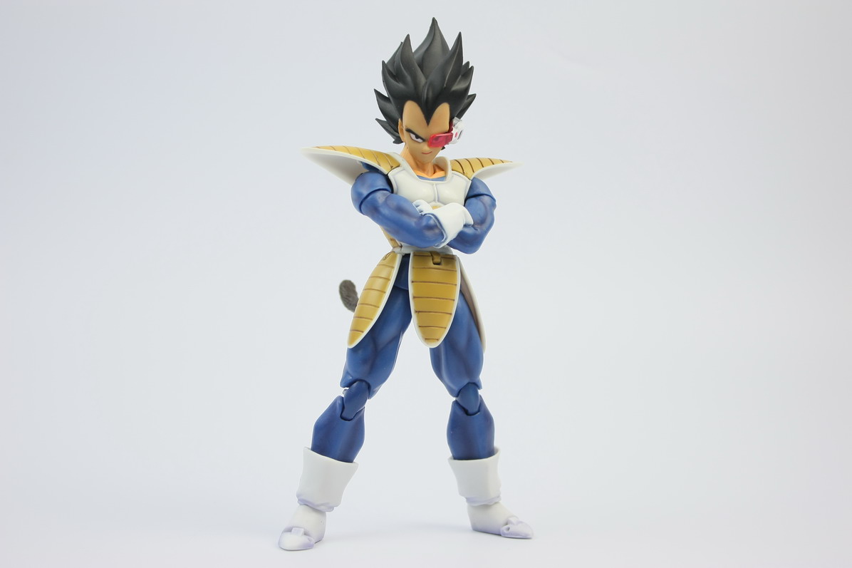 [Datong] Vegeta & Freezer SH  9vv22