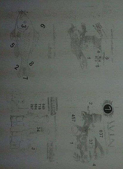 17-12-2016 1st,2end,3rd Paper 12400578_1767981363431190_5254694405702816914_n