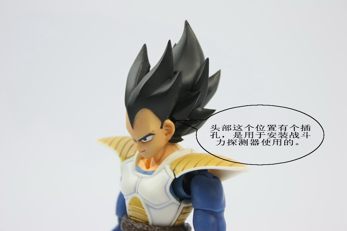 [Datong] Vegeta & Freezer SH  O0v14