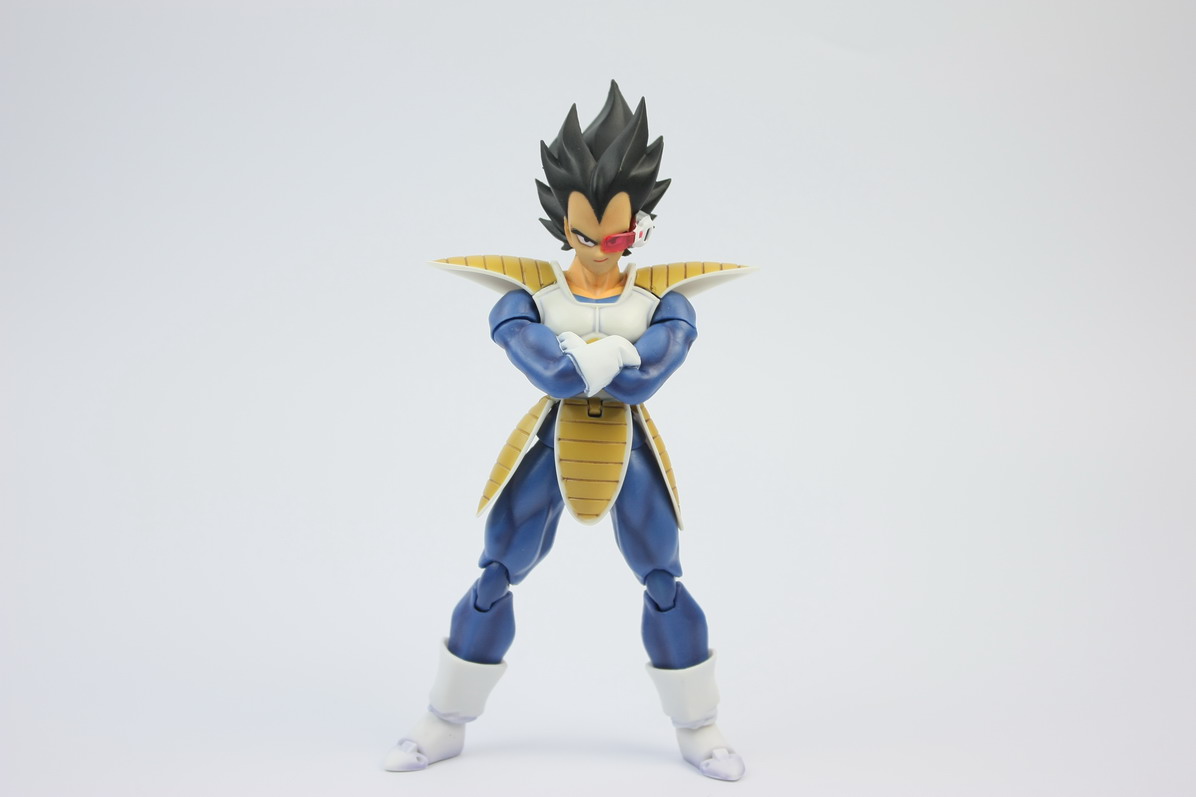 [Datong] Vegeta & Freezer SH  Wvv21