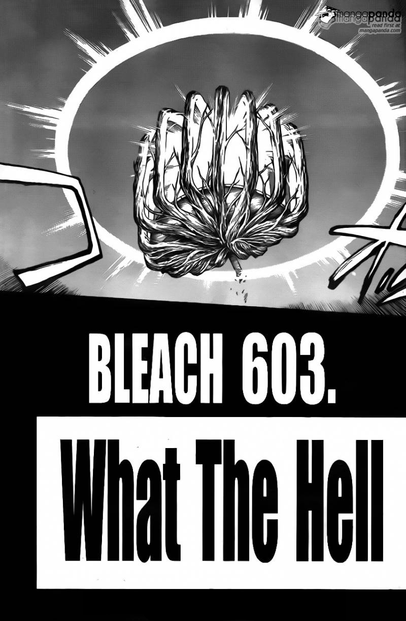 Bleach 603 : What The Hell Ja003