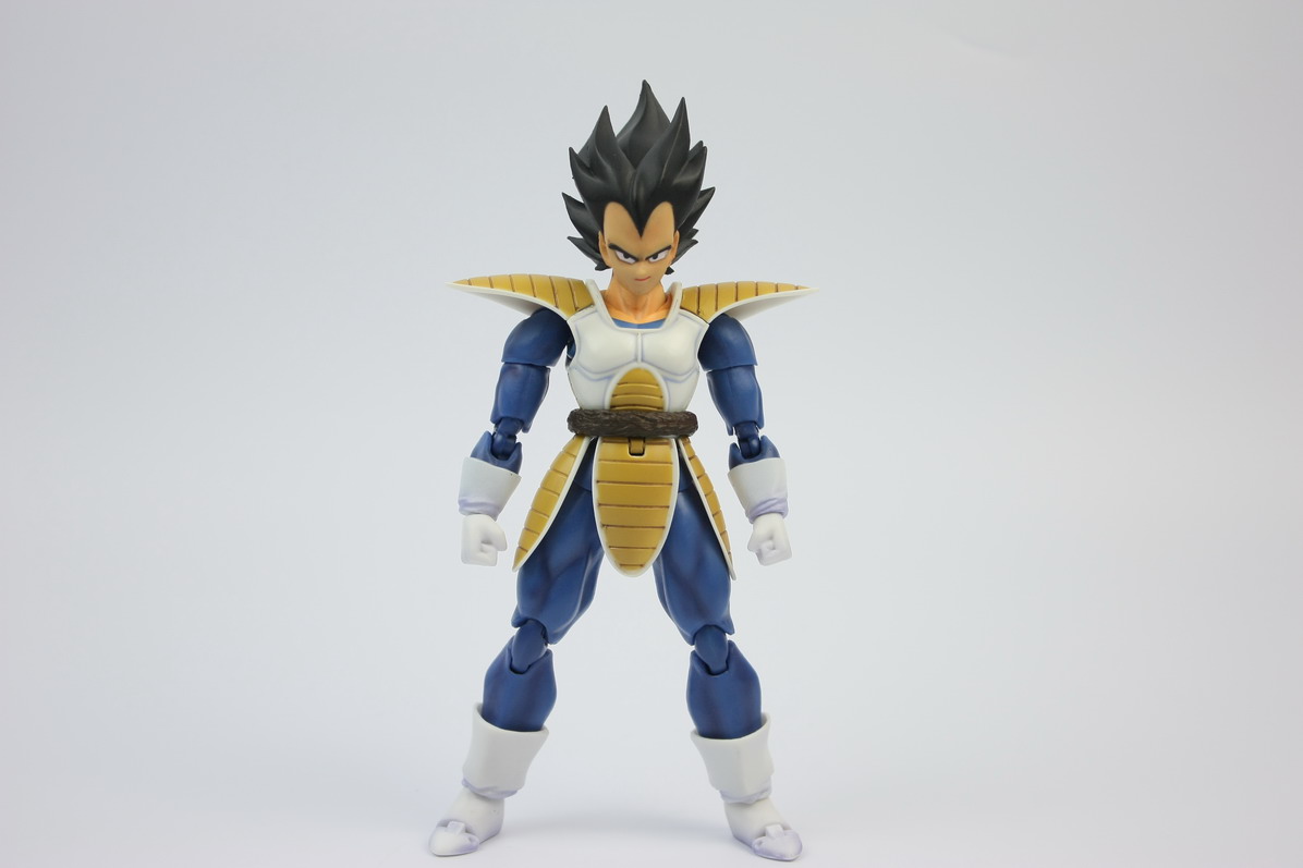 [Datong] Vegeta & Freezer SH  N9v13