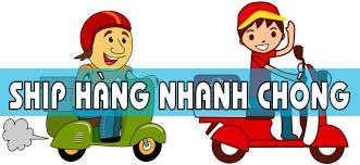 Sức khỏe, đời sống: Hộp nhựa đựng thành phẩm, hộp nhựa đặc giá cạnh tranh Van-chuyen-hang-2