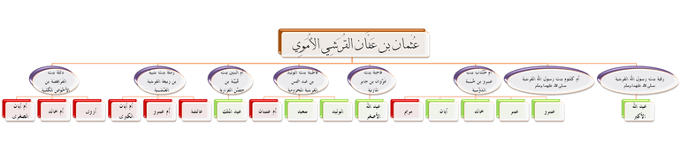 هو: «عثمان بن عفان بن أبي العاص بن أمية بن عبد شمس بن عبد مناف بن قصي  770px-%D8%B0%D8%B1%D9%8A%D8%A9_%D8%B3%D9%8A%D8%AF%D9%86%D8%A7_%D8%B9%D8%AB%D9%85%D8%A7%D9%86