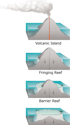 Littoraux et côtes maritimes: Descriptif Atoll_forming