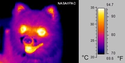 [Rapport Humain] Notes sur les Lunettes et les différentes vision. Infrared_dog