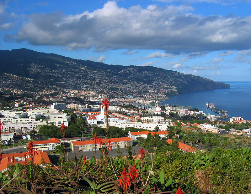 جزر ماديرا ..  Funchal_Pico_da_Cruz