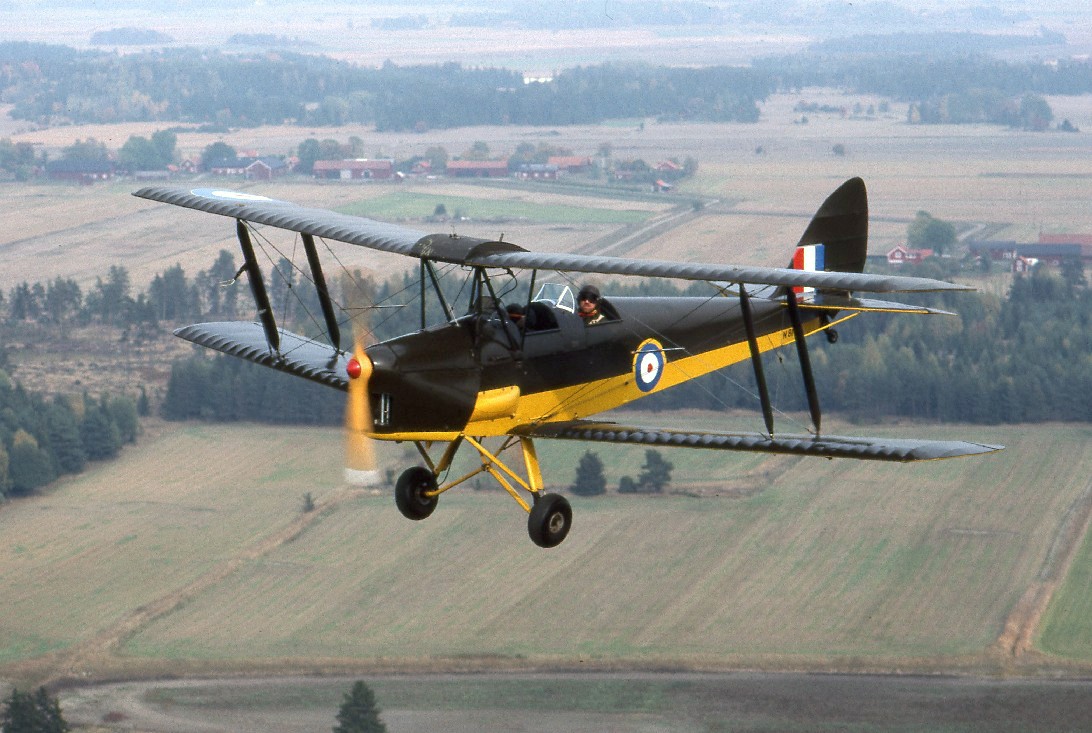 القوات الجوية الملكية السعودية DH_82A_Tiger_Moth_-_N81DH