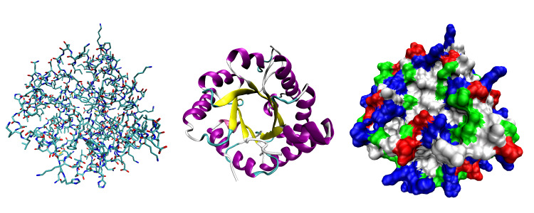 علم الوراثة...2_مصطلحات... Proteinviews-1tim