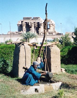 El shaduf Egypt.KomOmbo.Shaduf.01