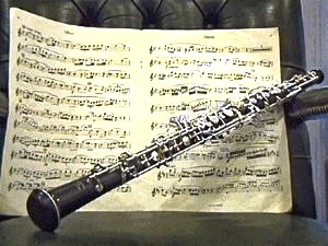 Muzički Instrumenti Oboj