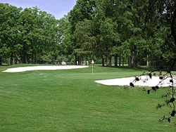 Golf 250px-Green_with_two_bunkers