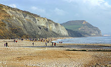 السيرة الذاتية للعالمة ( Mary Anning) ماري آننج. 220px-Golden_Cap_from_Charmouth_beach