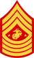 USMC ranks 50px-USMC-E9-SGMMC.svg