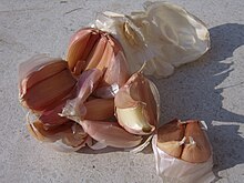 Garlic - Herbal Treatment 220px-Italian_garlic_PDO