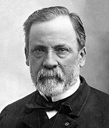 لويس باستور أو لويس باستير  220px-Louis_Pasteur