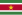 Coupe du Monde 2010-Eliminatoires - Page 5 22px-Flag_of_Suriname.svg