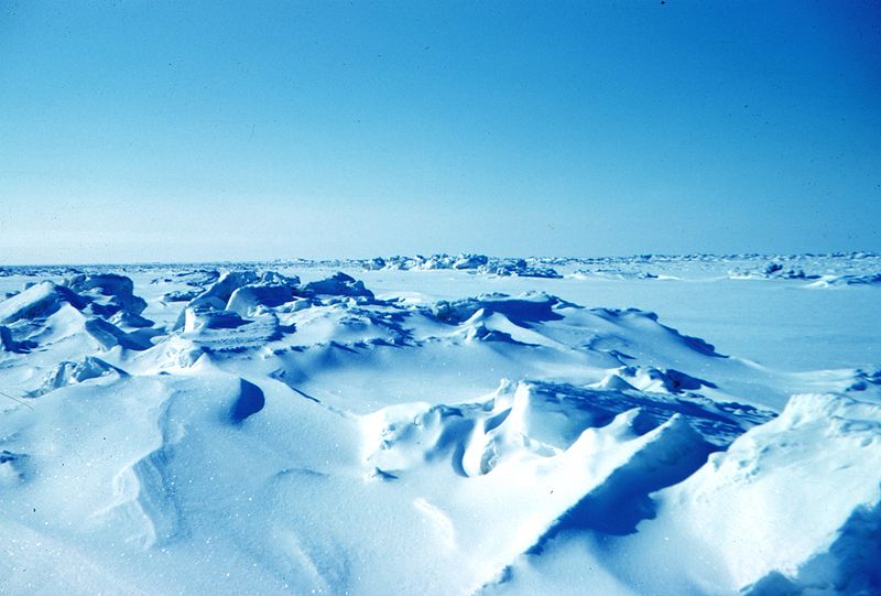 Teorías apocalípticas actuales: posibles fines del mundo que conocemos 800px-Sea_ice_terrain