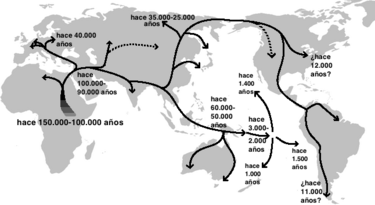 Una de Genes neandertales e indígenas americanos 375px-Migraci%C3%B3n_humana_fuera_de_%C3%81frica_mapa_ADN_gen%C3%A9tico