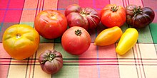 Liste des variétés de tomates!fleur 220px-Various_tomatoes