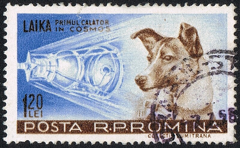 Perros famosos que nunca se han de olvidar 800px-Posta_Romana_-_1959_-_Laika_120_B